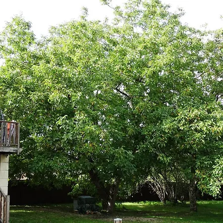 Bed & Breakfast Le Manoir De Douchapt Tocane-Saint-Apre